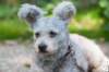 dsc_1914_small.jpg