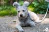 dsc_1915_small.jpg