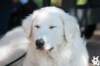 dsc_1918_small.jpg