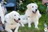 dsc_1919_small.jpg