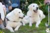 dsc_1921_small.jpg