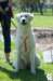 dsc_1924_small.jpg