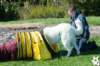 dsc_1925_small.jpg