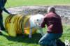 dsc_1930_small.jpg