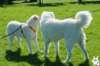 dsc_1939_small.jpg