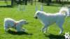 dsc_1942_small.jpg