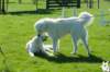dsc_1943_small.jpg
