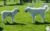 dsc_1944_small.jpg