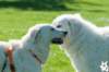 dsc_1948_small.jpg