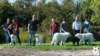dsc_1958_small.jpg