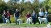 dsc_1960_small.jpg