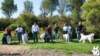 dsc_1961_small.jpg
