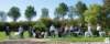 dsc_1977_small.jpg
