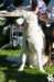 dsc_1981_small.jpg