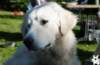 dsc_1982_small.jpg